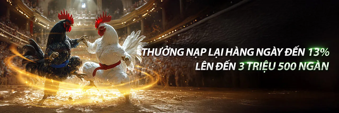 Đá Gà UIWNBET Trực Tuyến